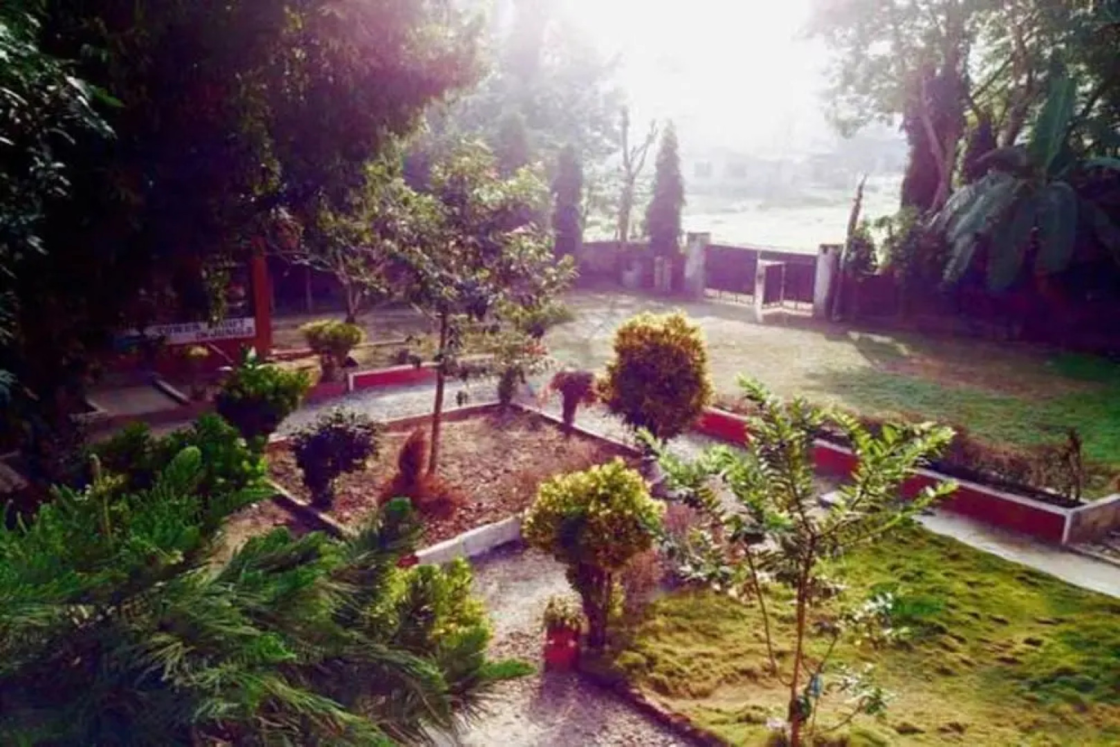 Safari Wildlife Lodge & Camp