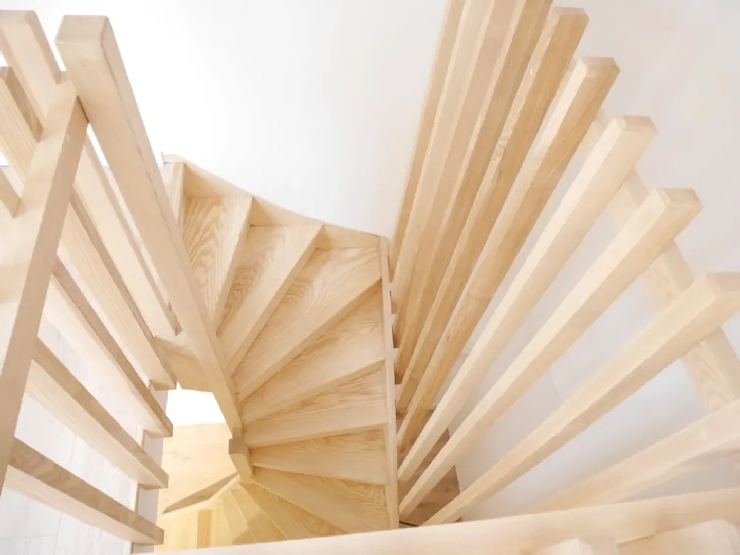 Le Chat Qui Dort - Bords de Deule