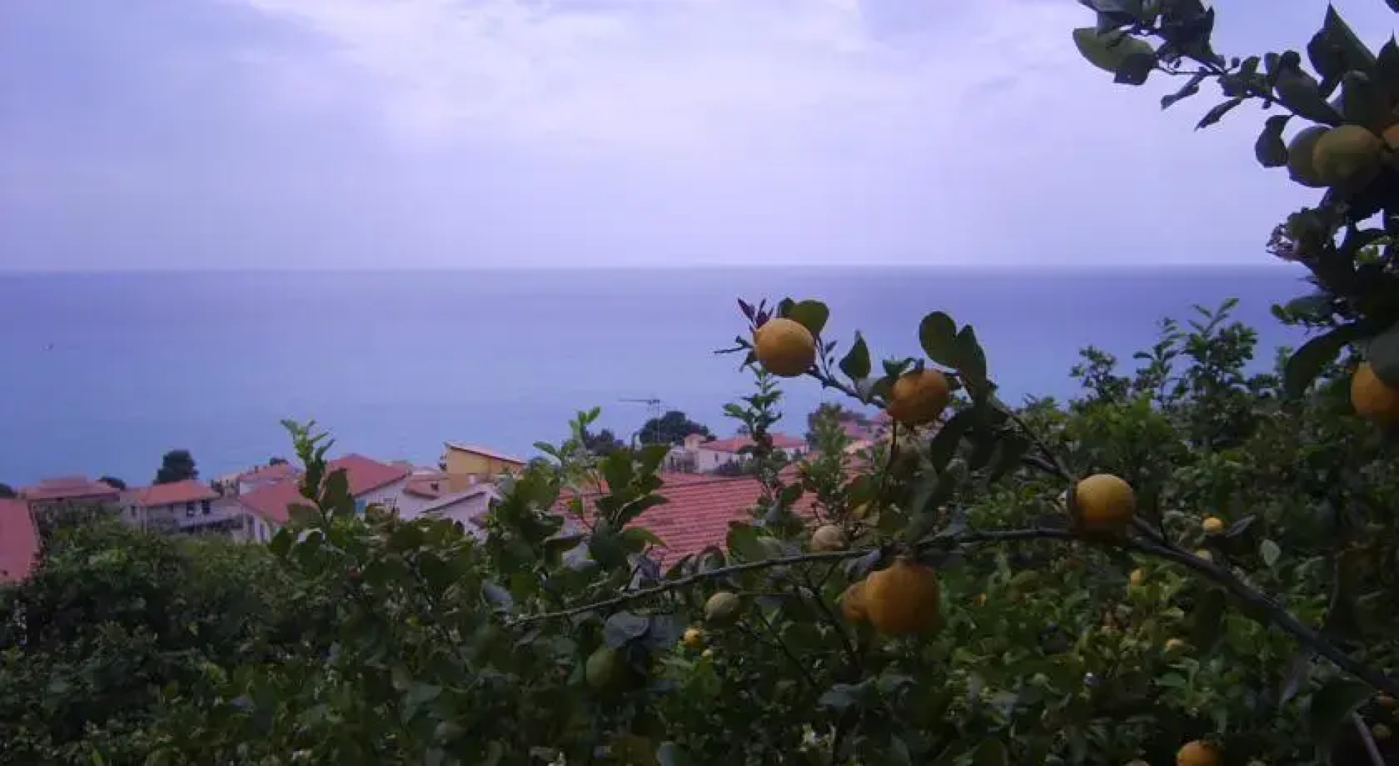 Casa Vista Mare