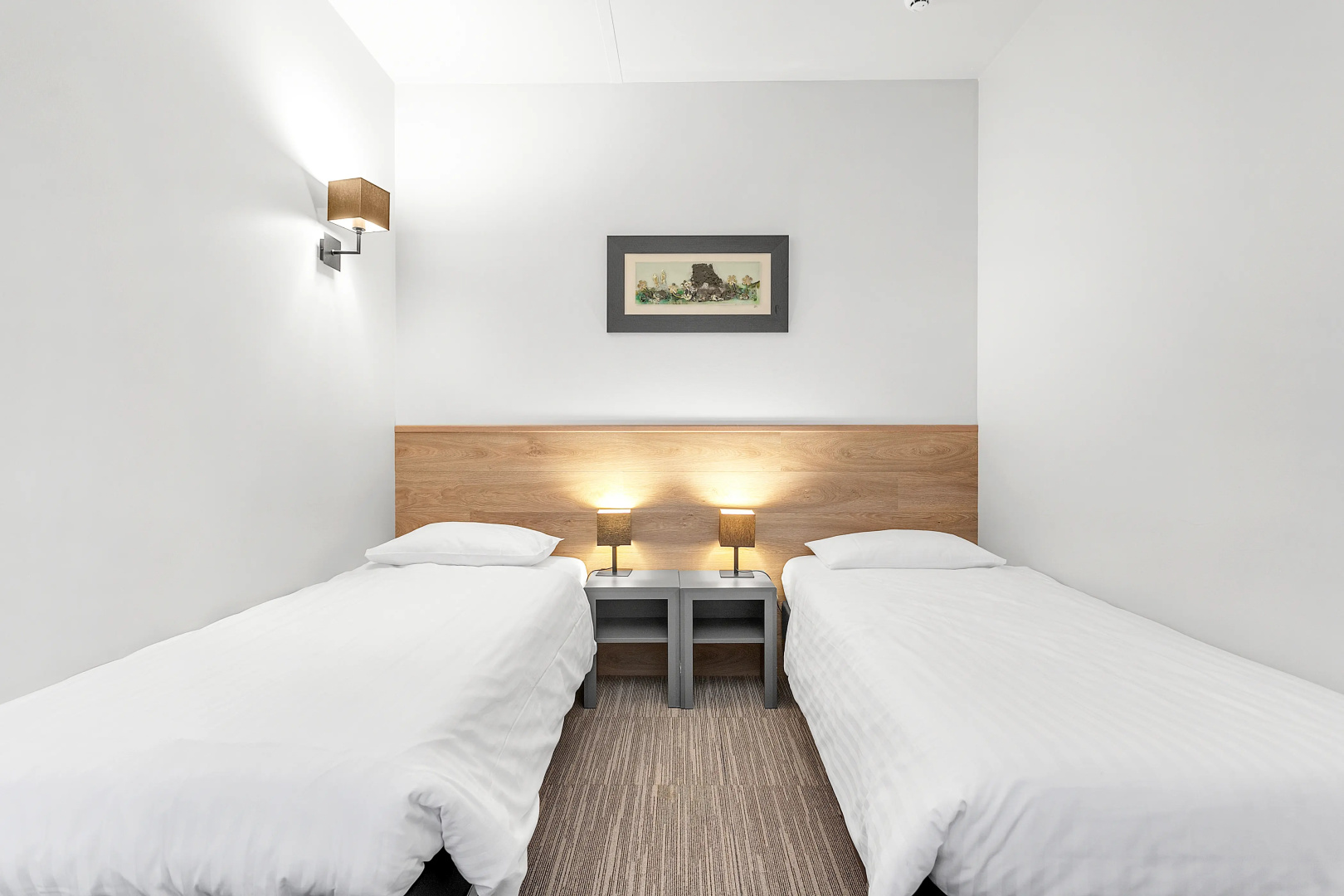 Hotel Vellir