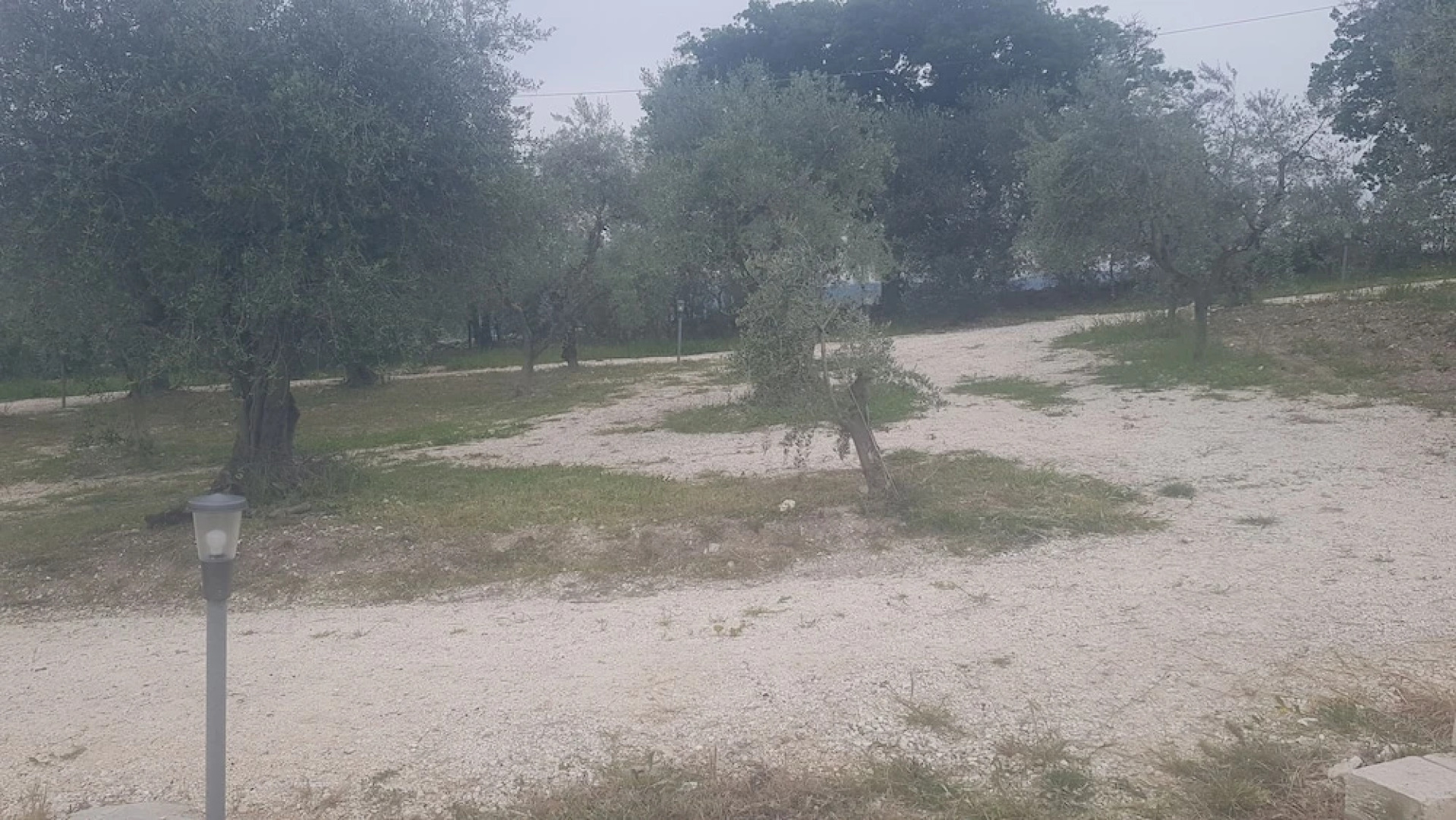 Verde Matematico