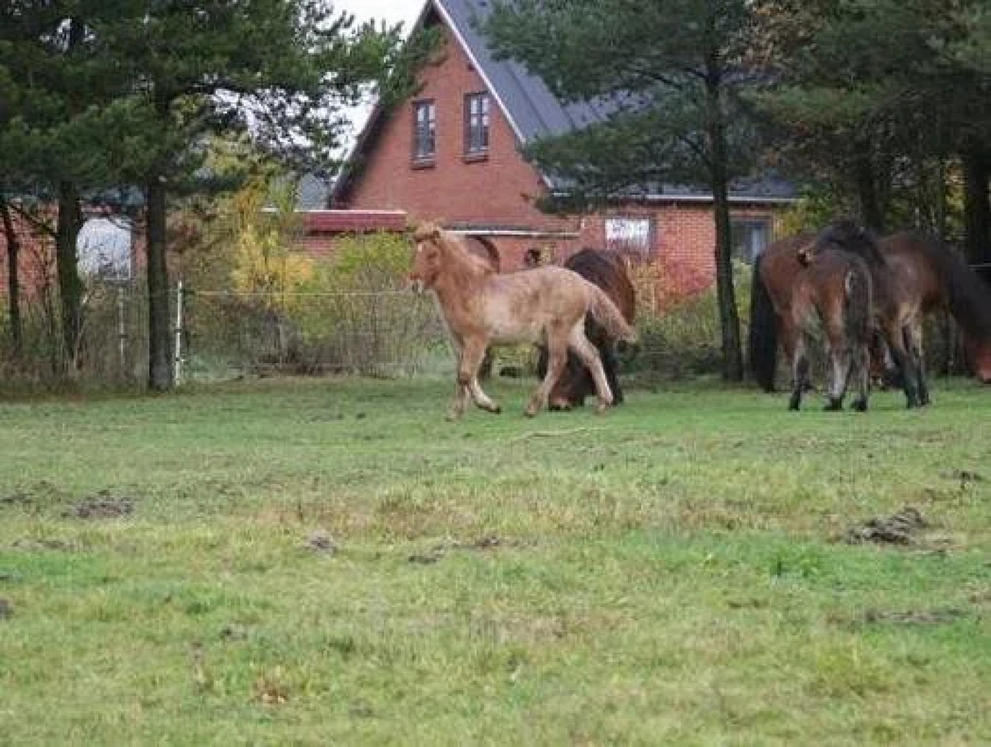 Stutteri Sonne Bed & Breakfast