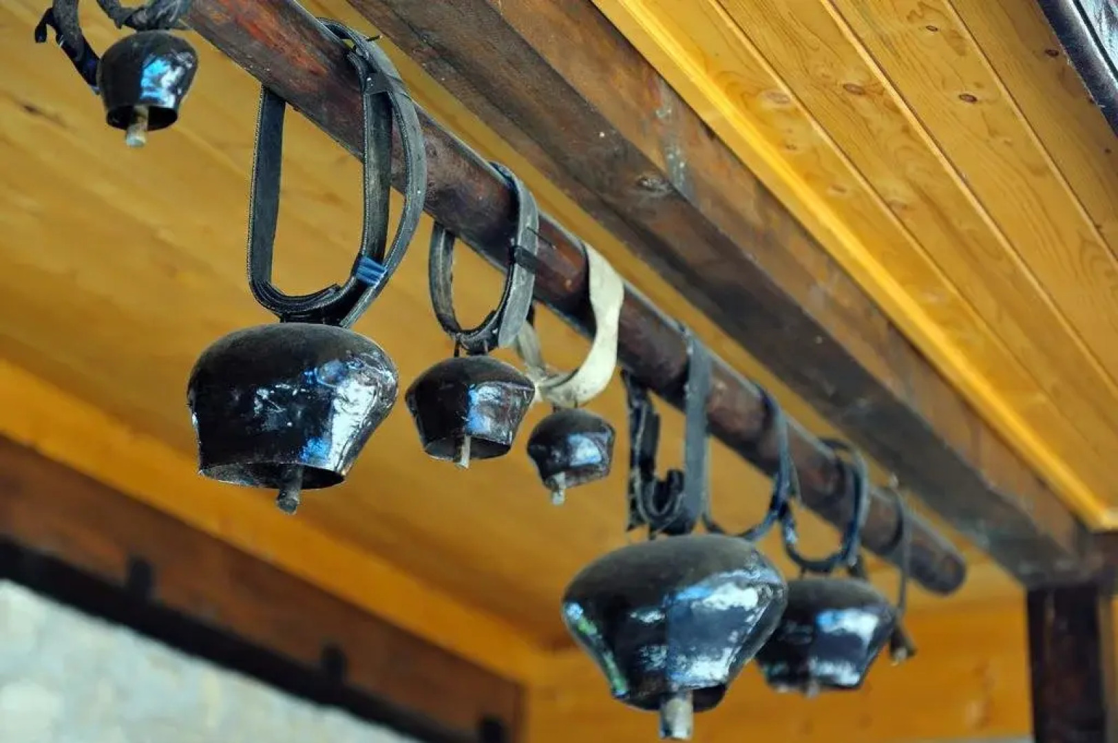 Family Hotel The Hunter's Lodge