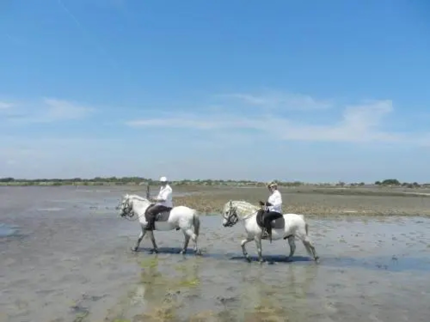Hôtel Mas de la Grenouillère