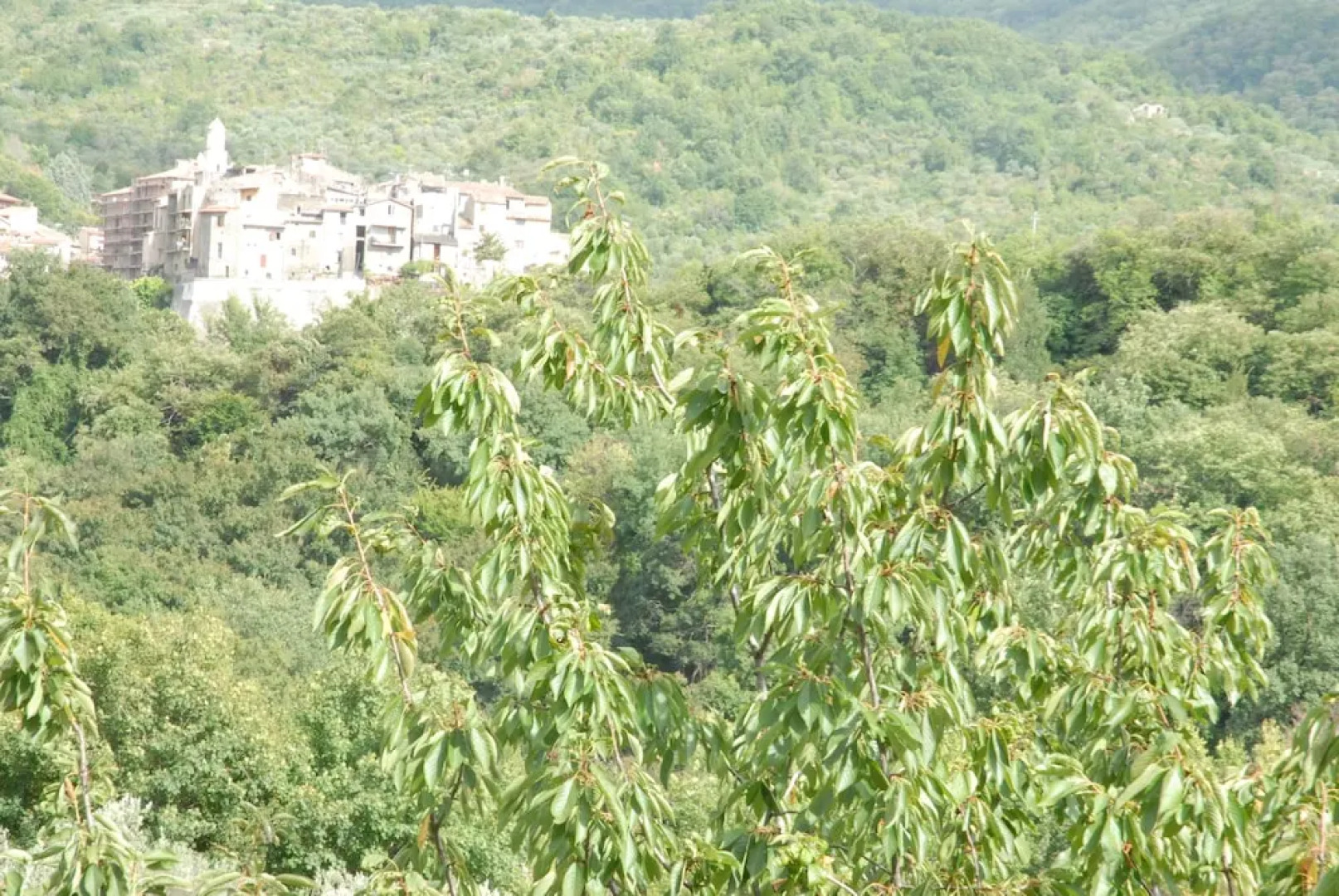 Casa del Sole Casape