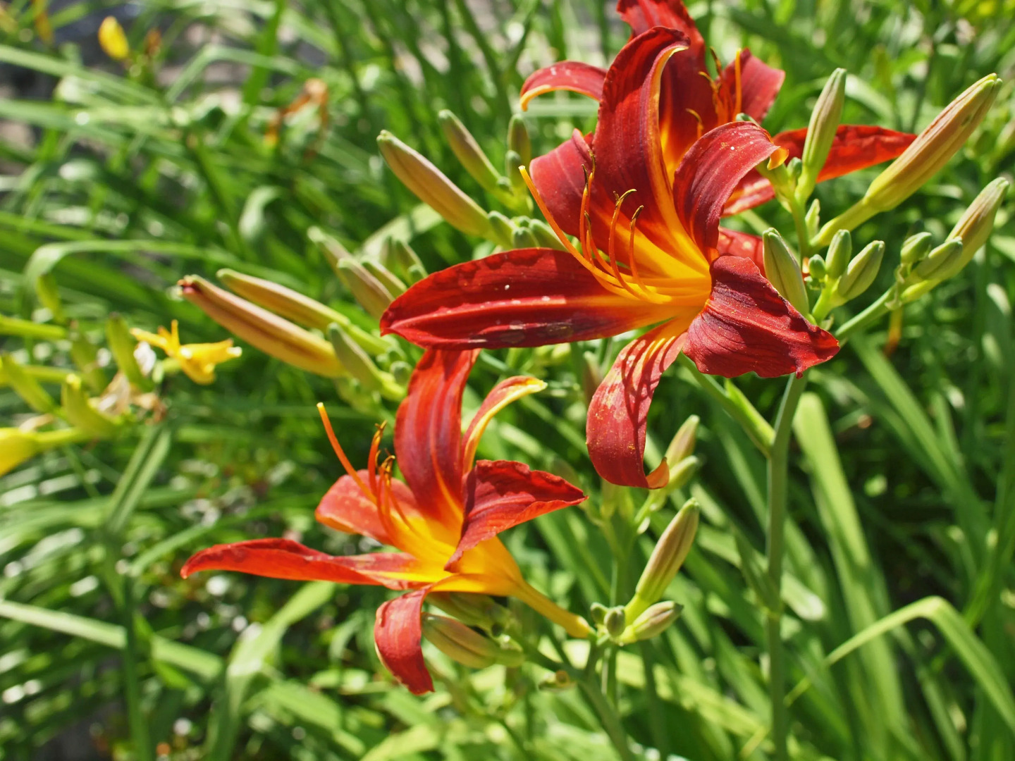 Waldhotel Felsenkeller
