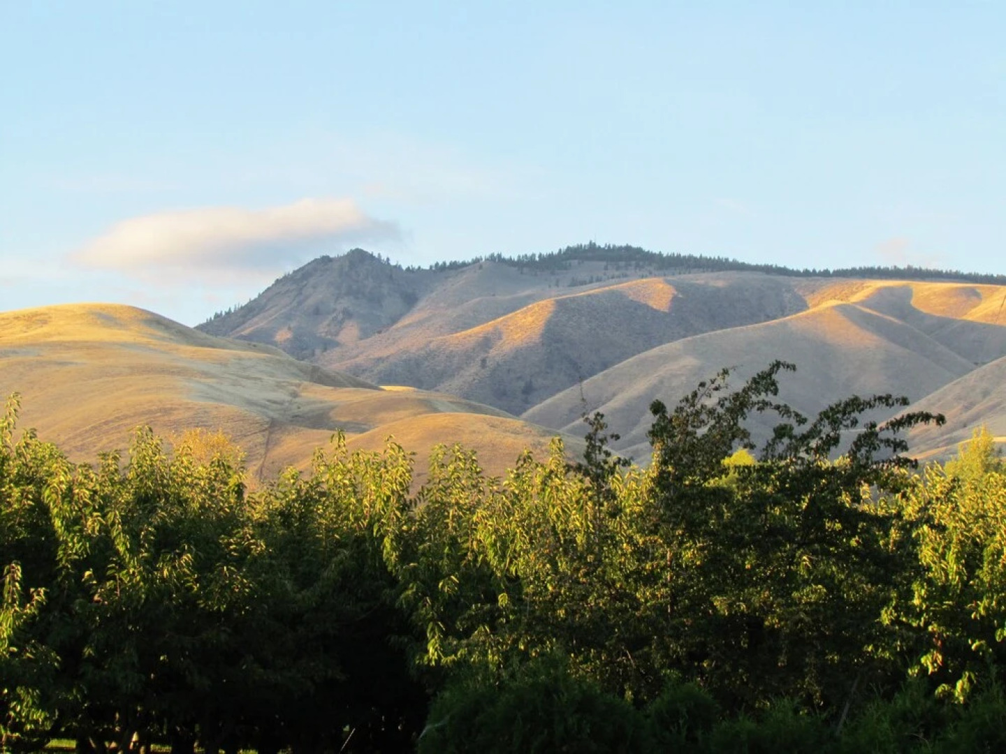 Warm Springs Inn & Winery