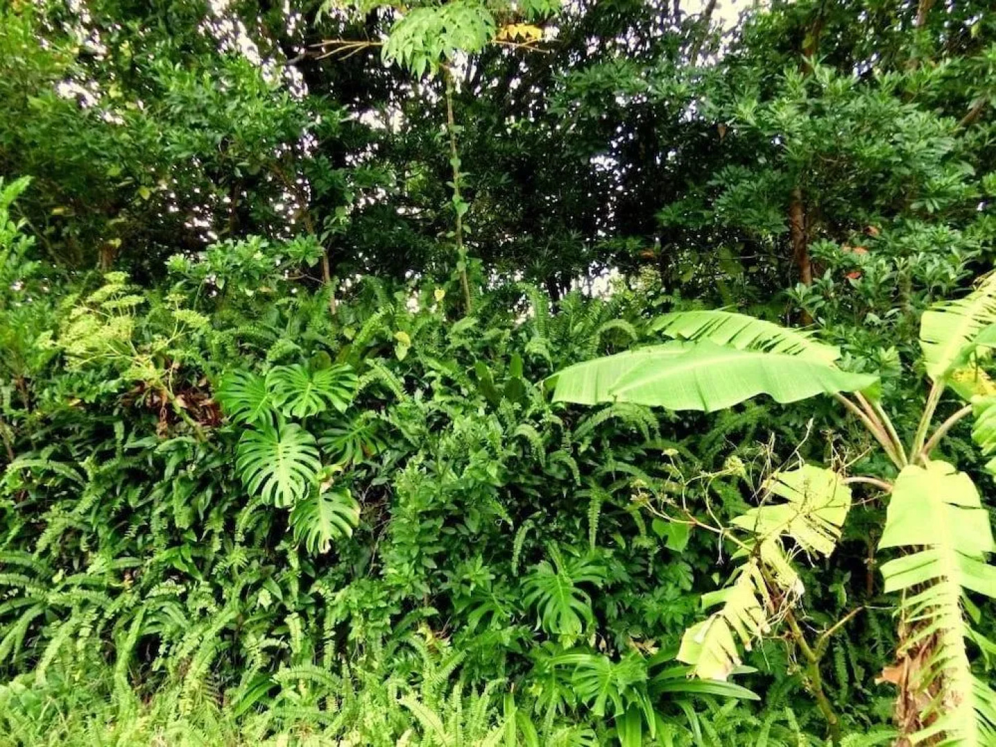 Kencha Rumah - Hostel