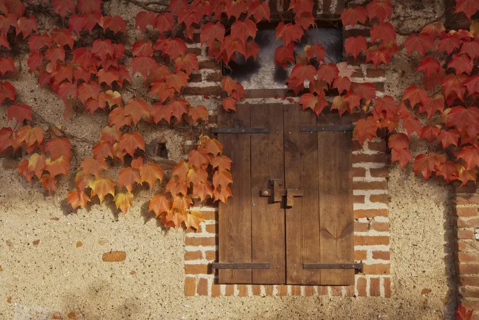 Agriturismo Cascina Selva