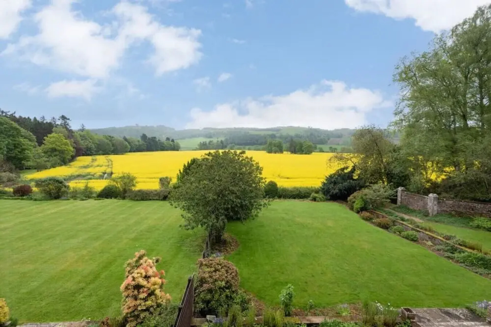 The Nutcracker Suite