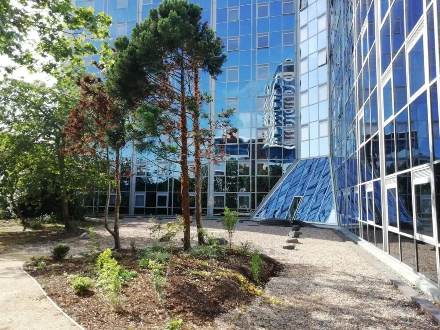 Luxury One Bedroom Apartment