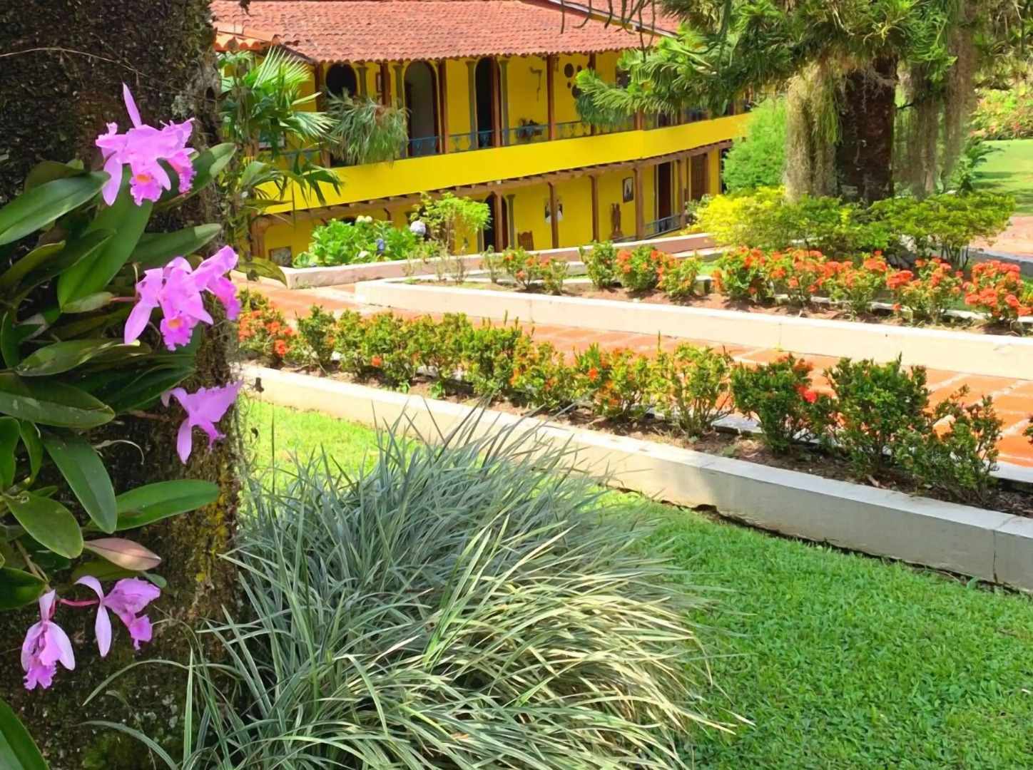 Hotel Pueblito Cafetero