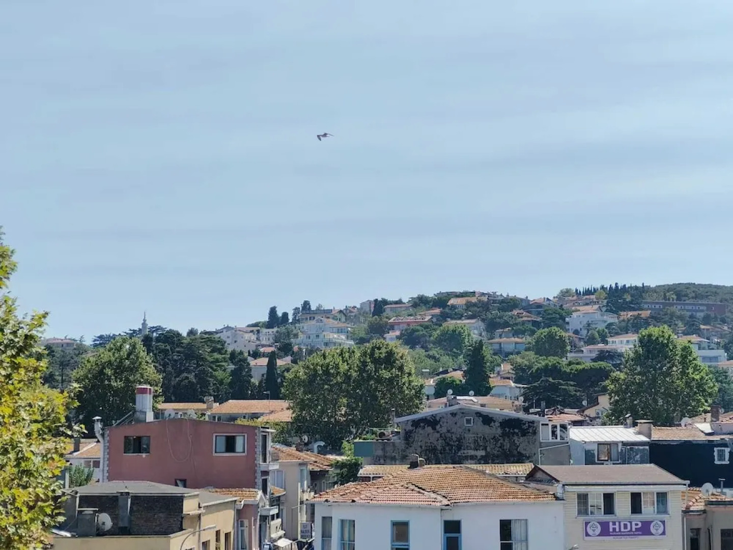 Отель Büyükada Mavi Palas