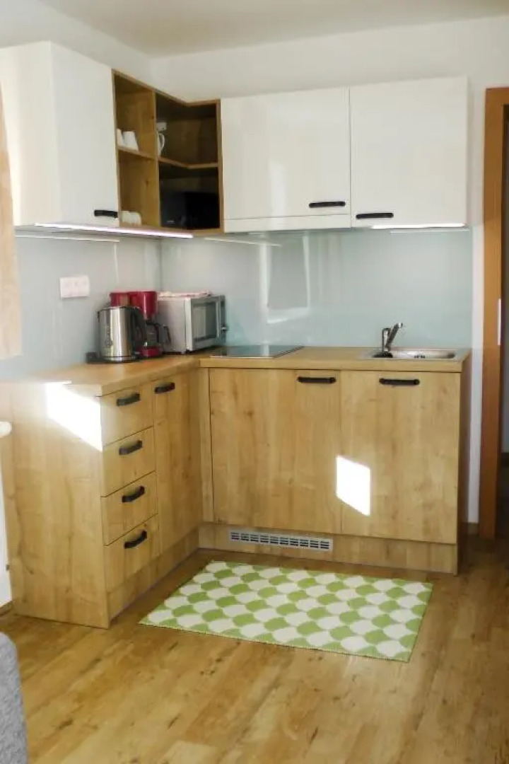 Haus Filzmoos in Austrian Alps