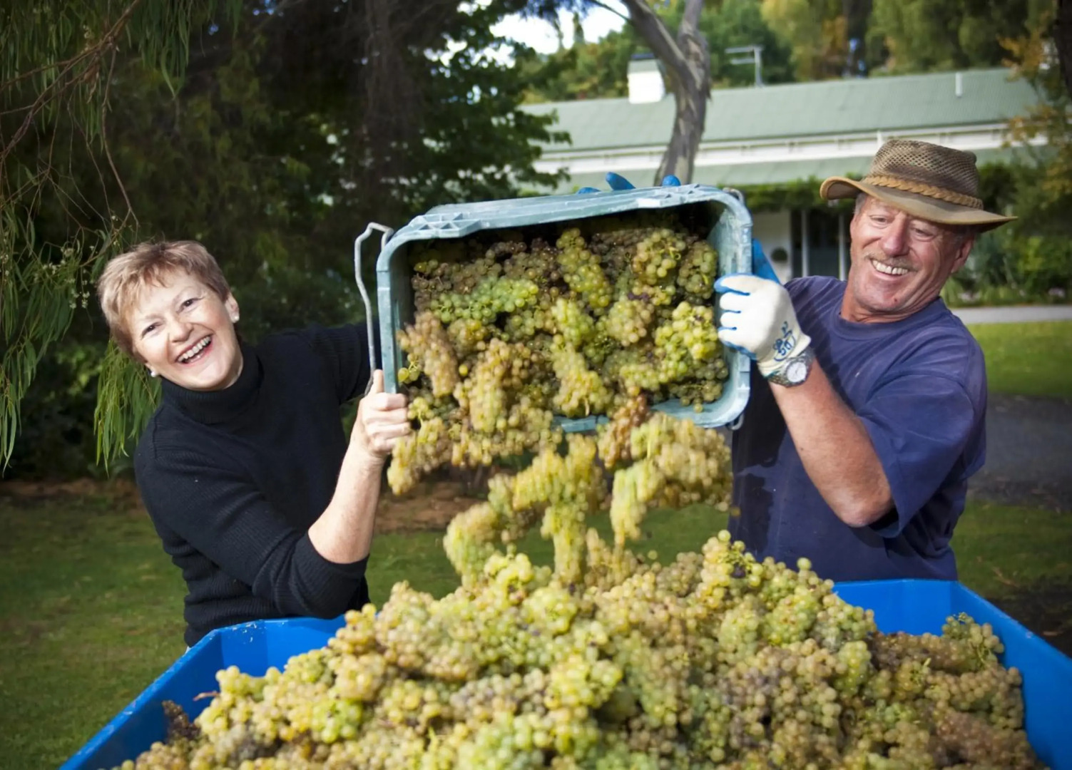 The Peppertree Luxury Accommodation