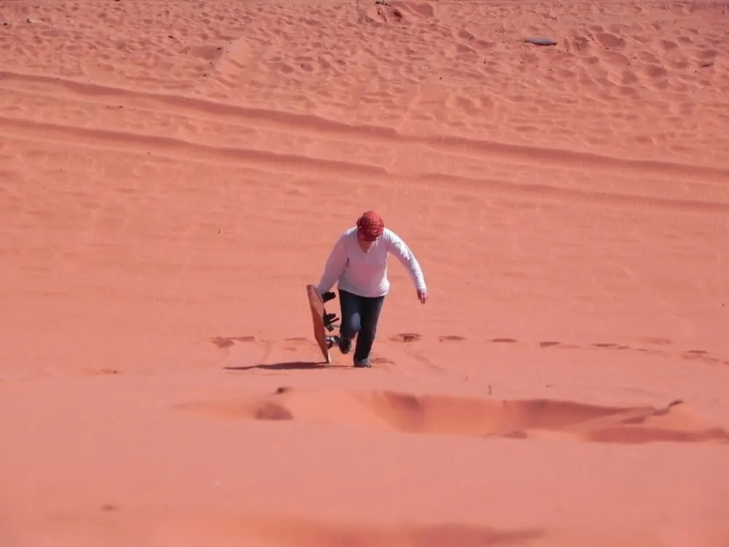 Bedouin Traditions Camp