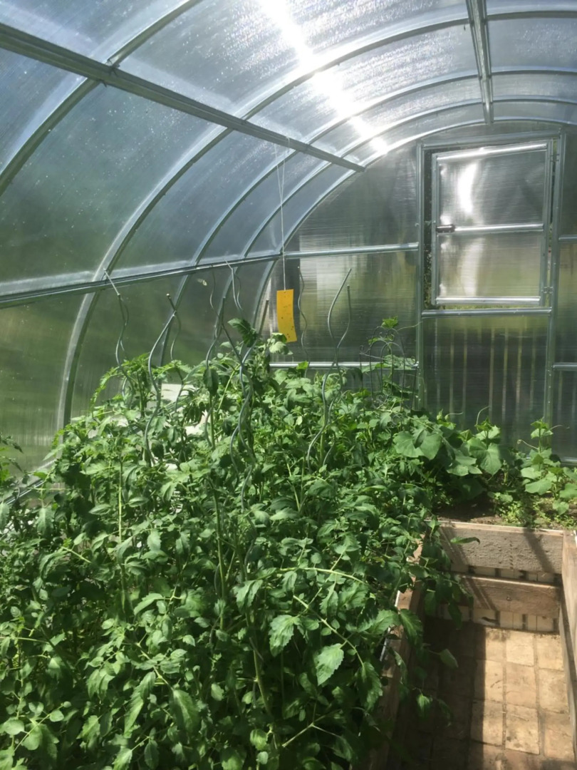 Penzion U Lucerny s malou farmičkou