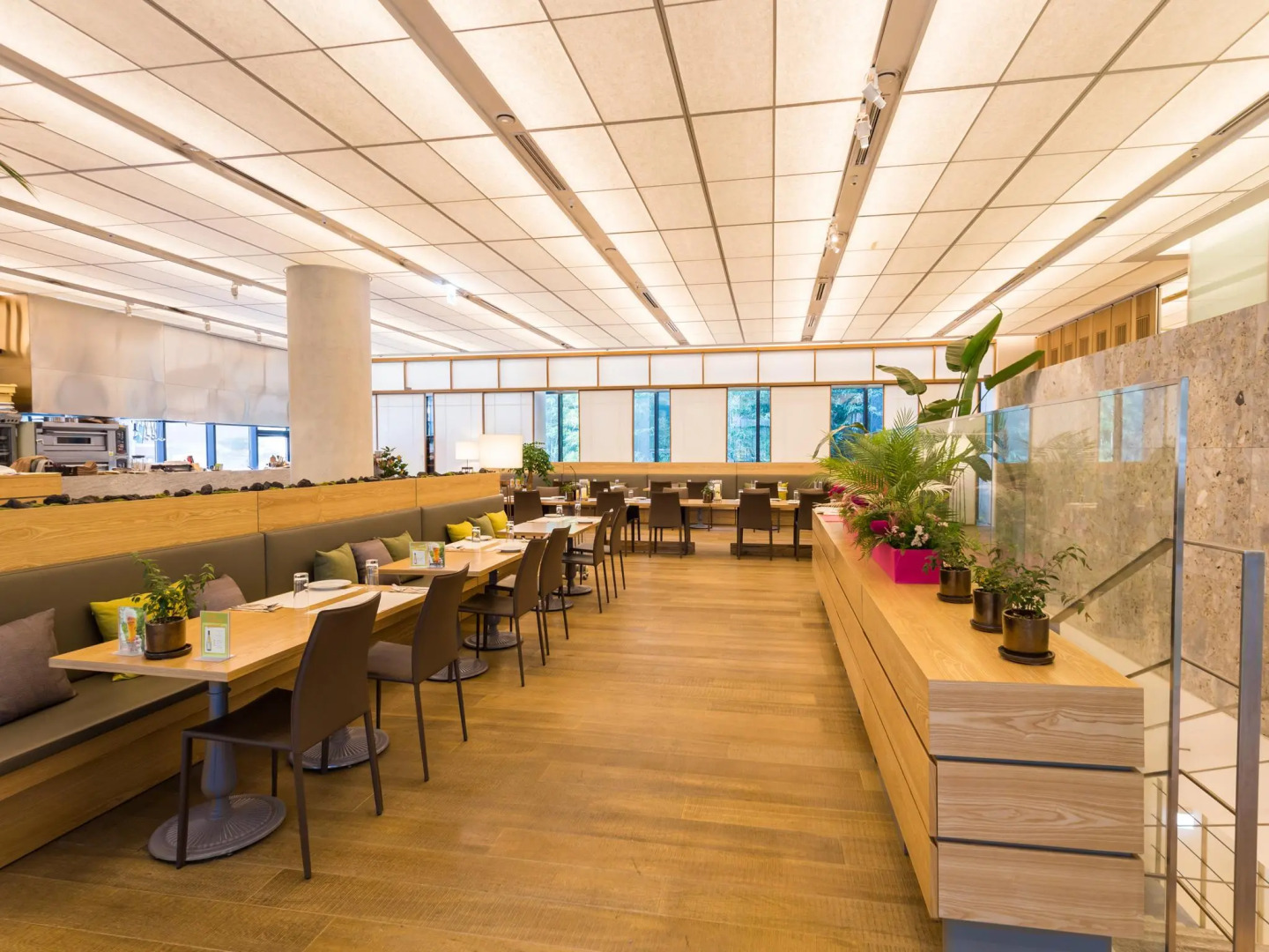 Sotetsu Hotels The Splaisir Seoul Myeong-Dong