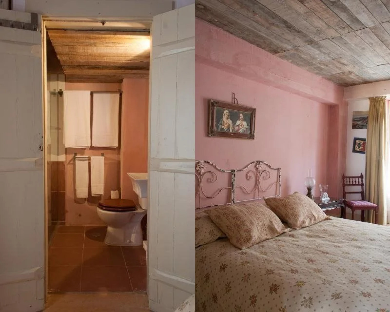 Uva do Monte - Blueberry Farm