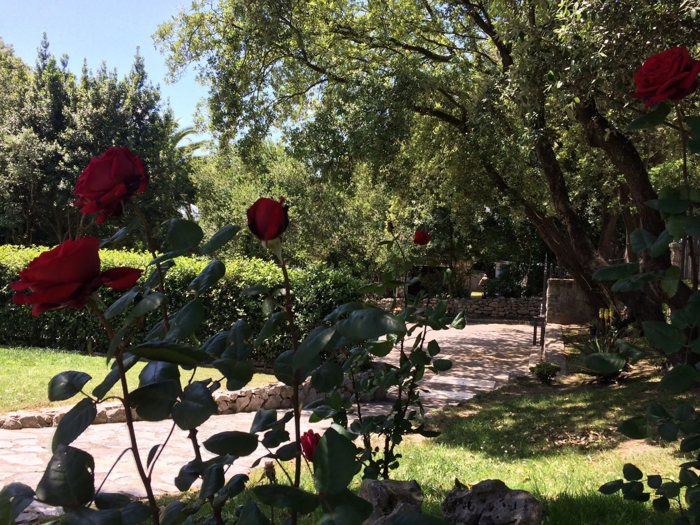 Hotel Posada La Robleda