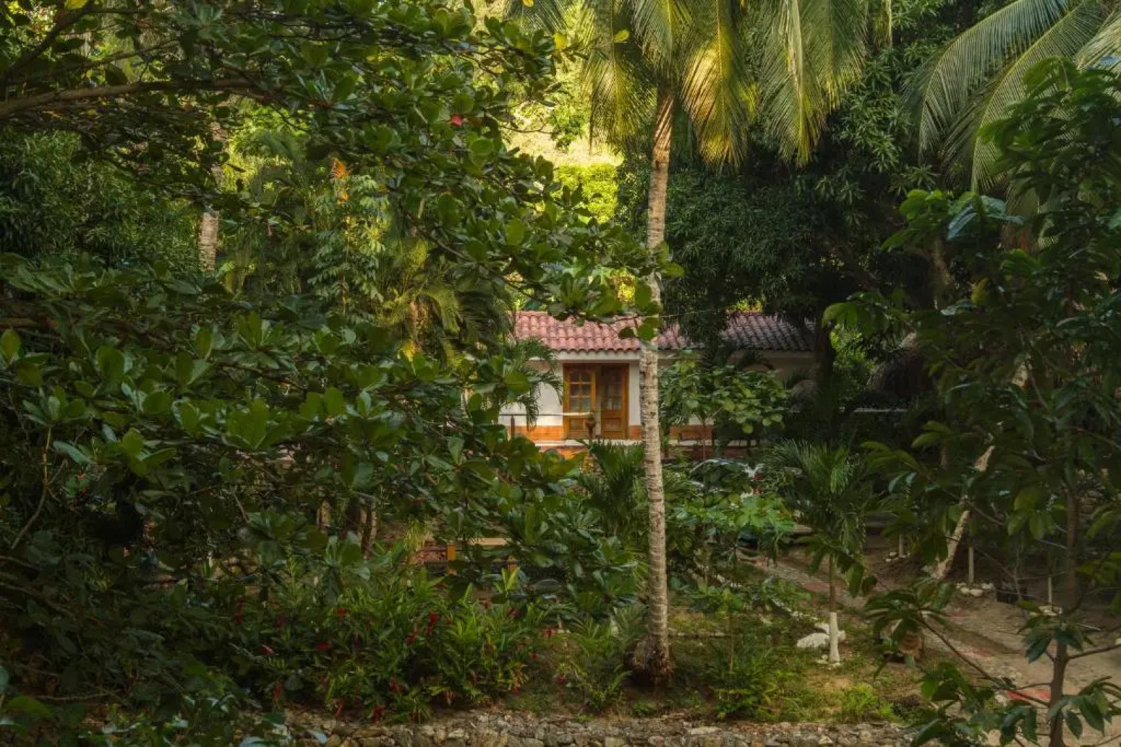 Manigua Tayrona Hostel