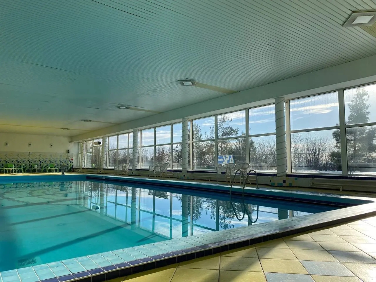 Синяя птица