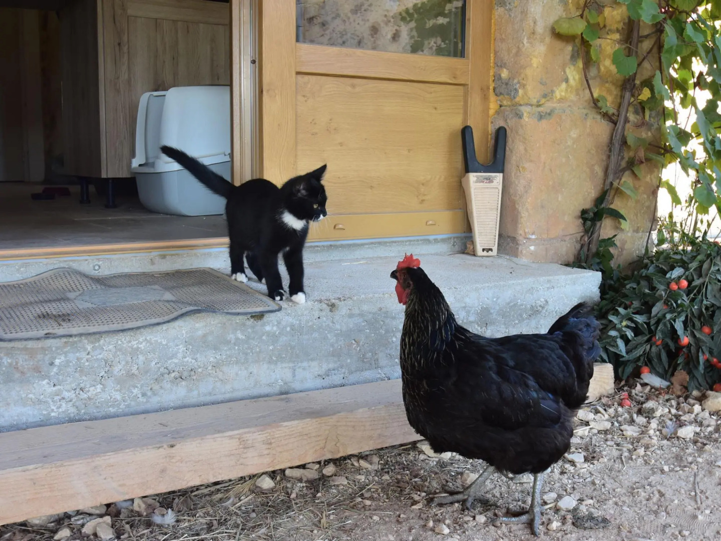 Lavish Home in Montferrand-du-périgord Aquitaine With Pool