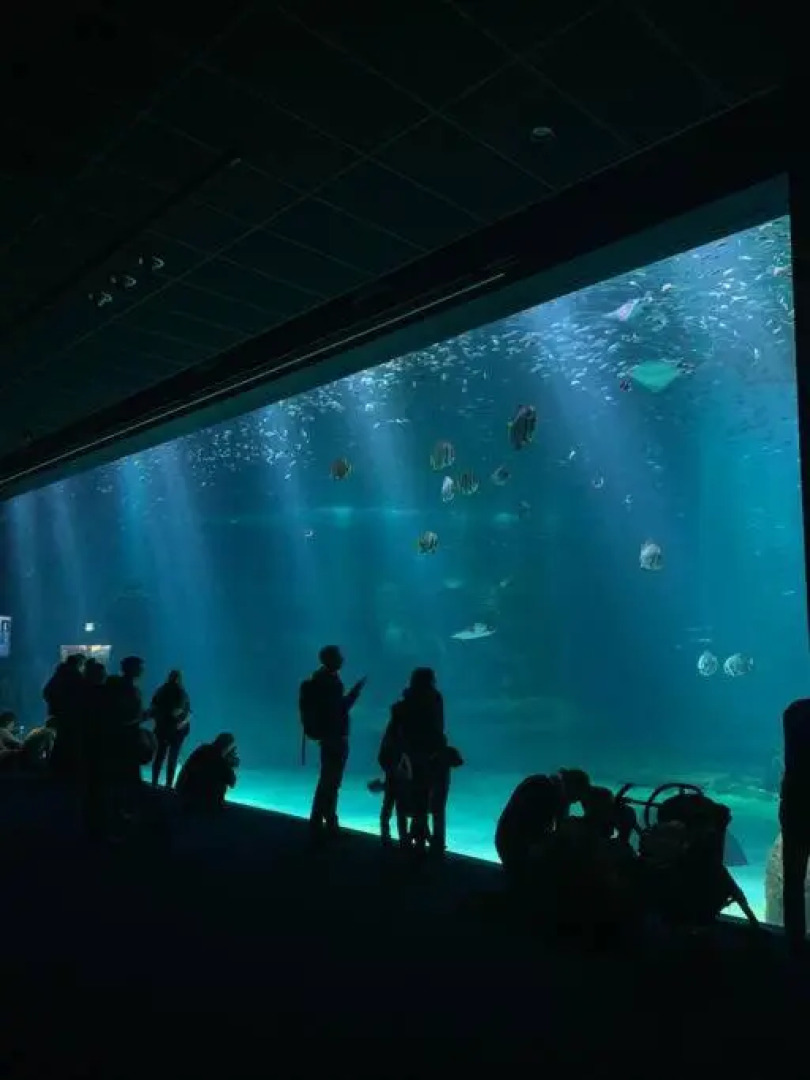 Appartement de 95 m2 bien situé