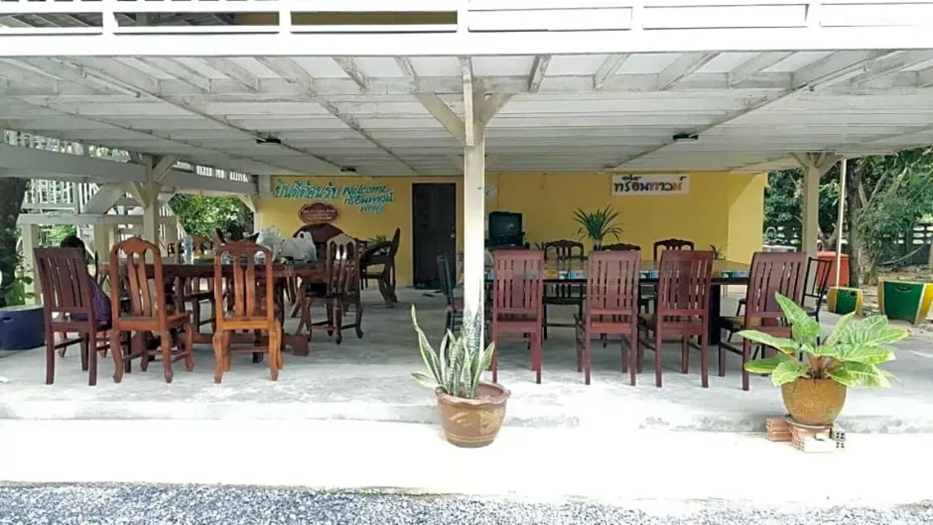 Tree in town ทรีอินทาวน์