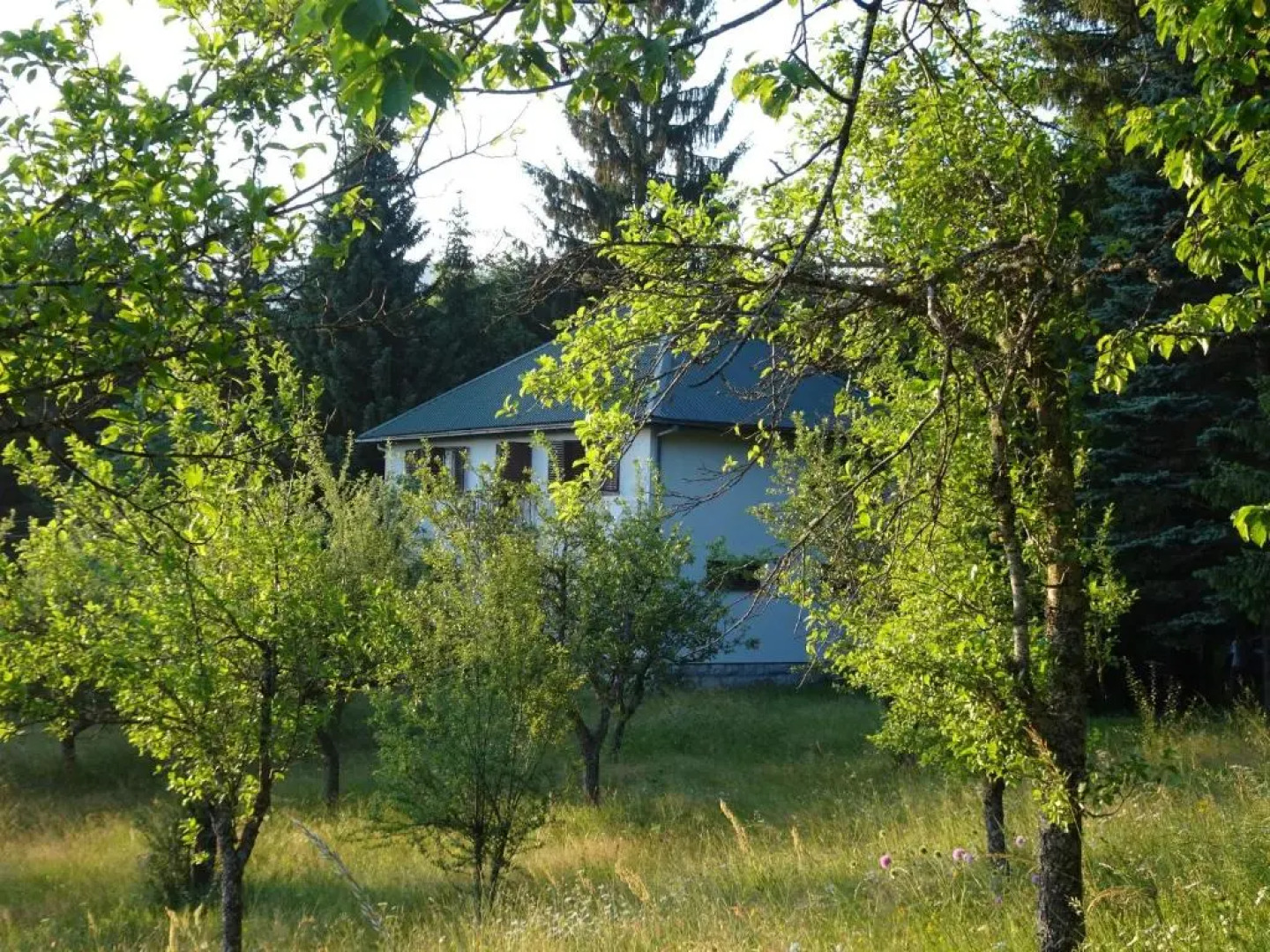 Holiday Home Crkvina
