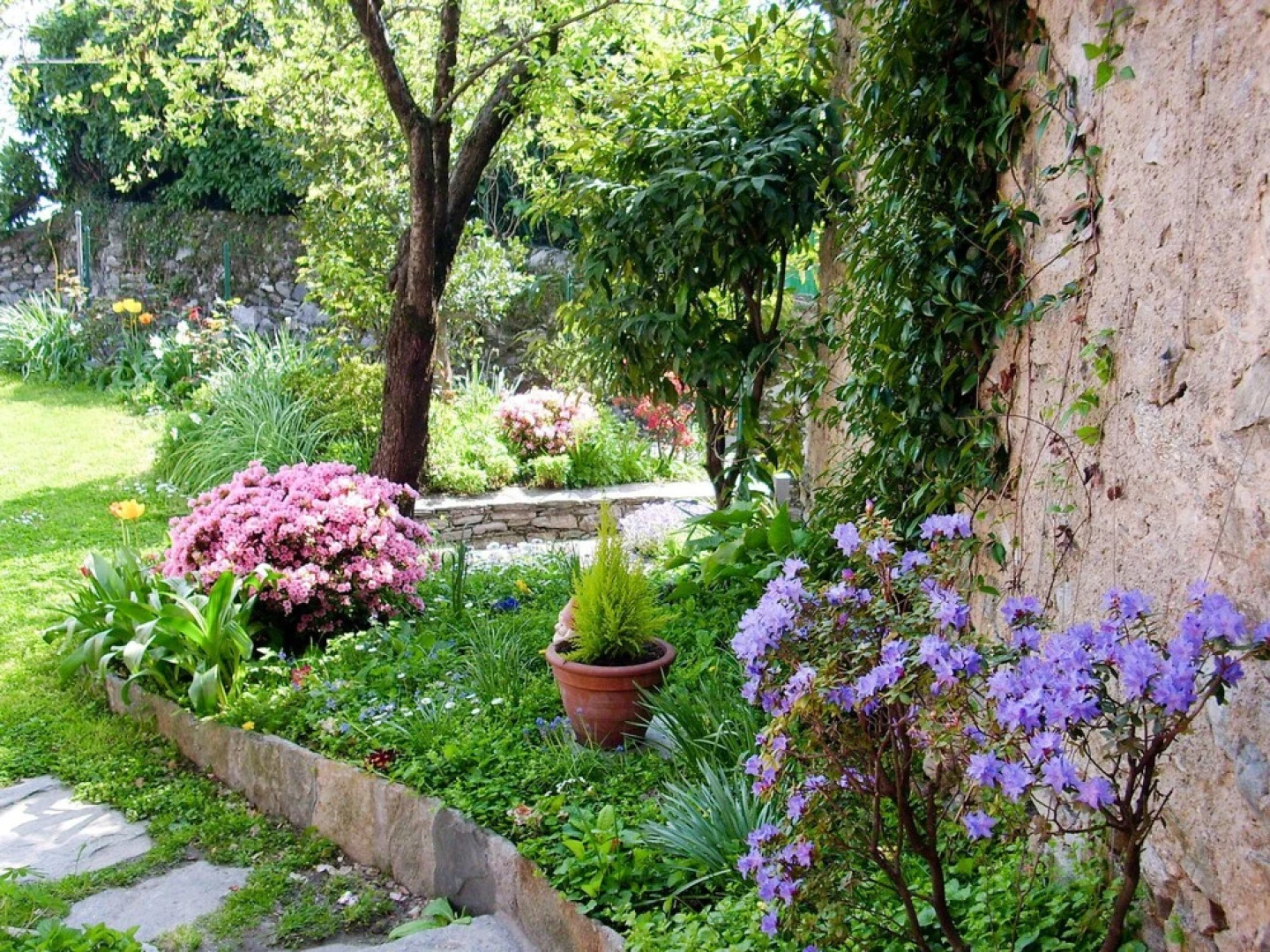 Morandi Cannero Riviera