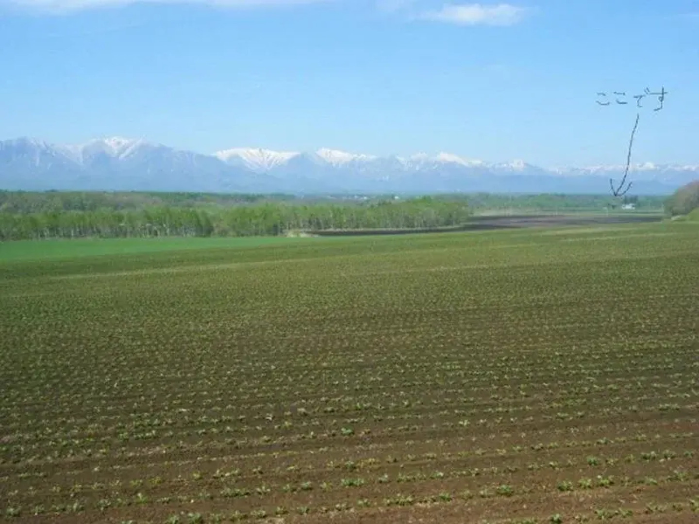 Hatake-no-Yado Moku Moku Tokachi