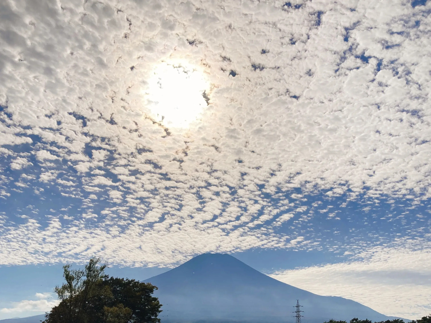 Panoramic Mt. Fuji Views from All Rooms – VISION GLAMPING Resort & Spa YAMANAKAKO