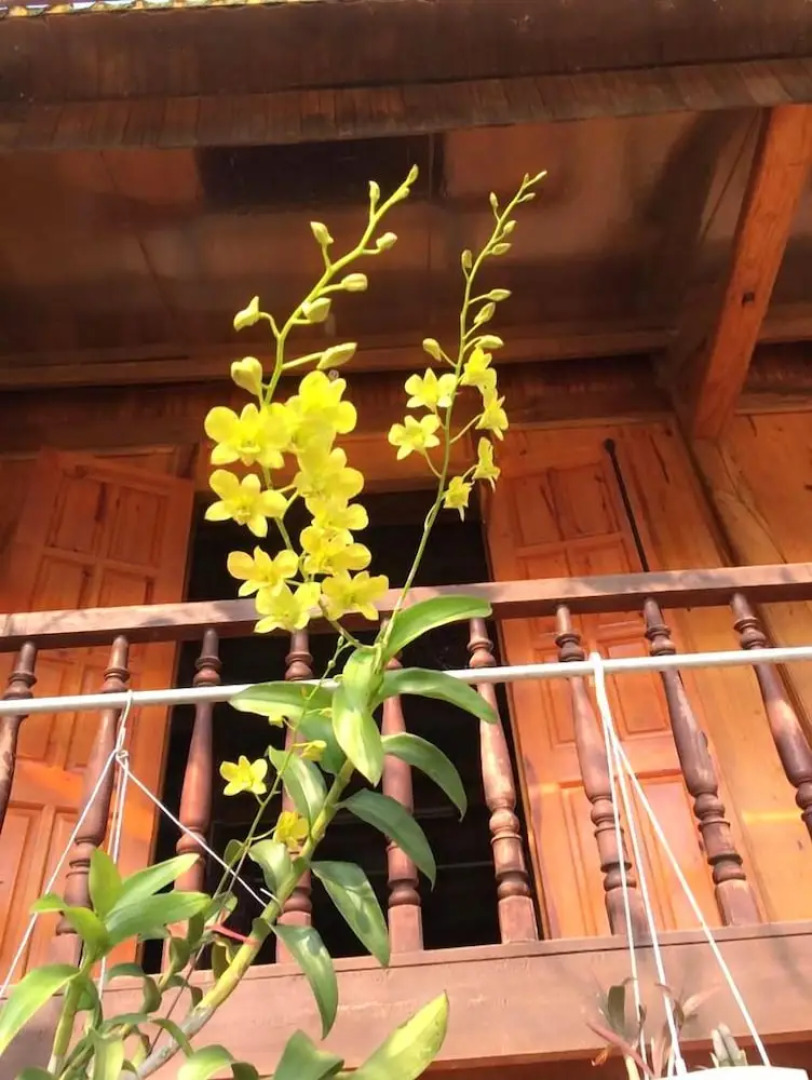 Xoi Homestay Ba Be Lake