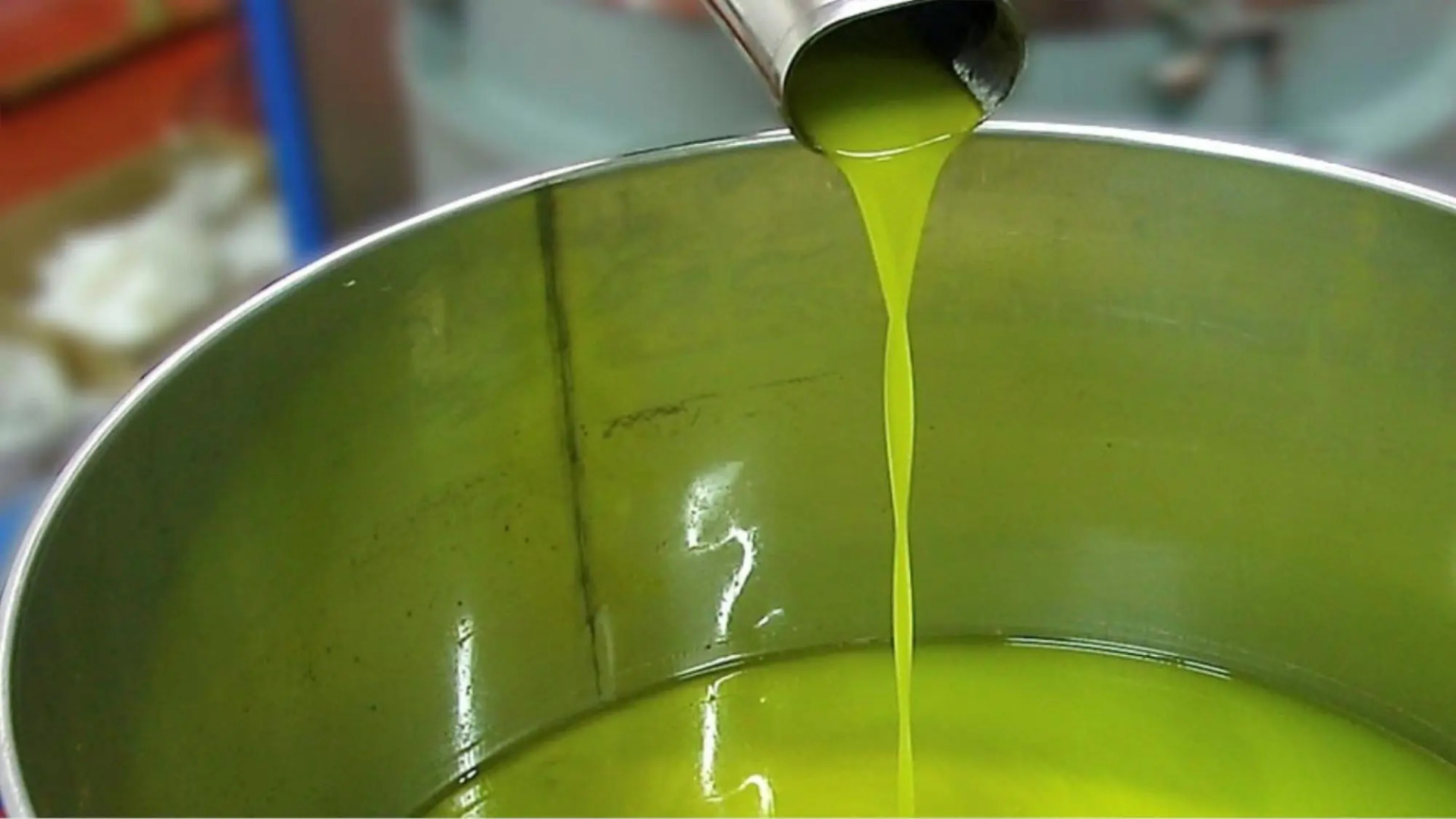 Nice House in a Protected Naturalistic Area Pool MTB Birdwatching-poggio Casale