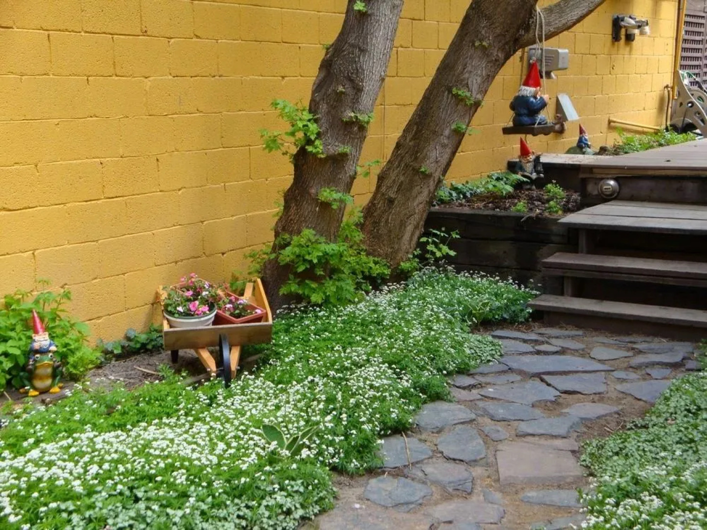 Box Canyon Lodge and Hot Springs Ouray