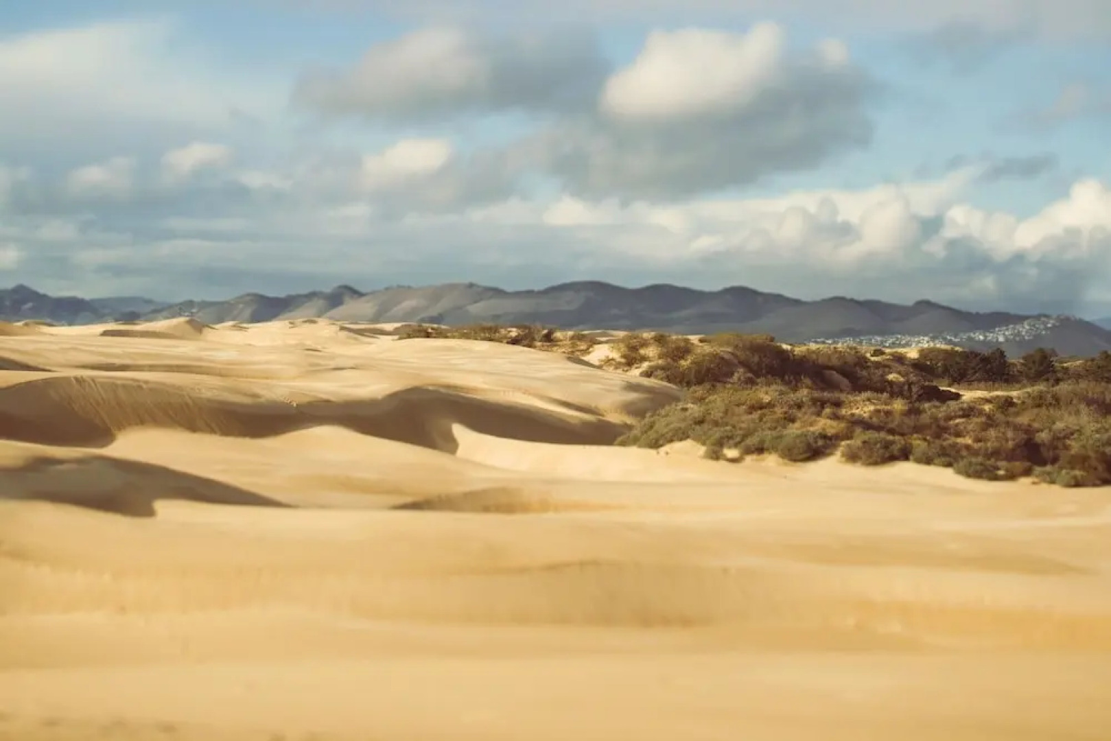 Private Cottage on Vineyard W/ Loft & Hill Views Cottage