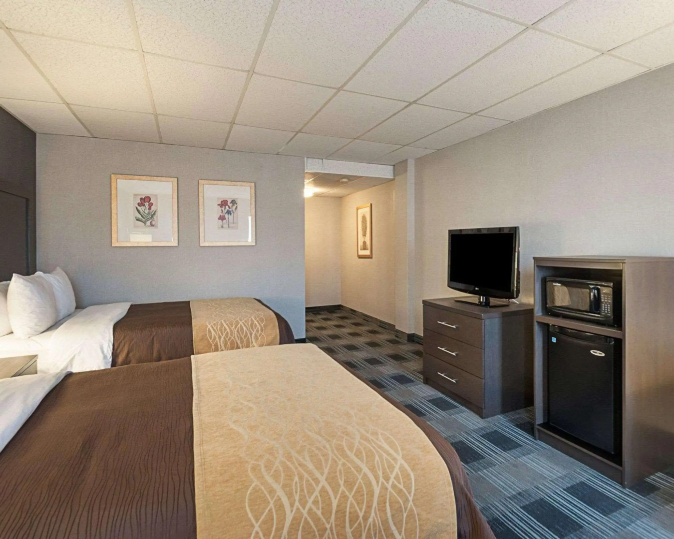 Comfort Inn Ballston