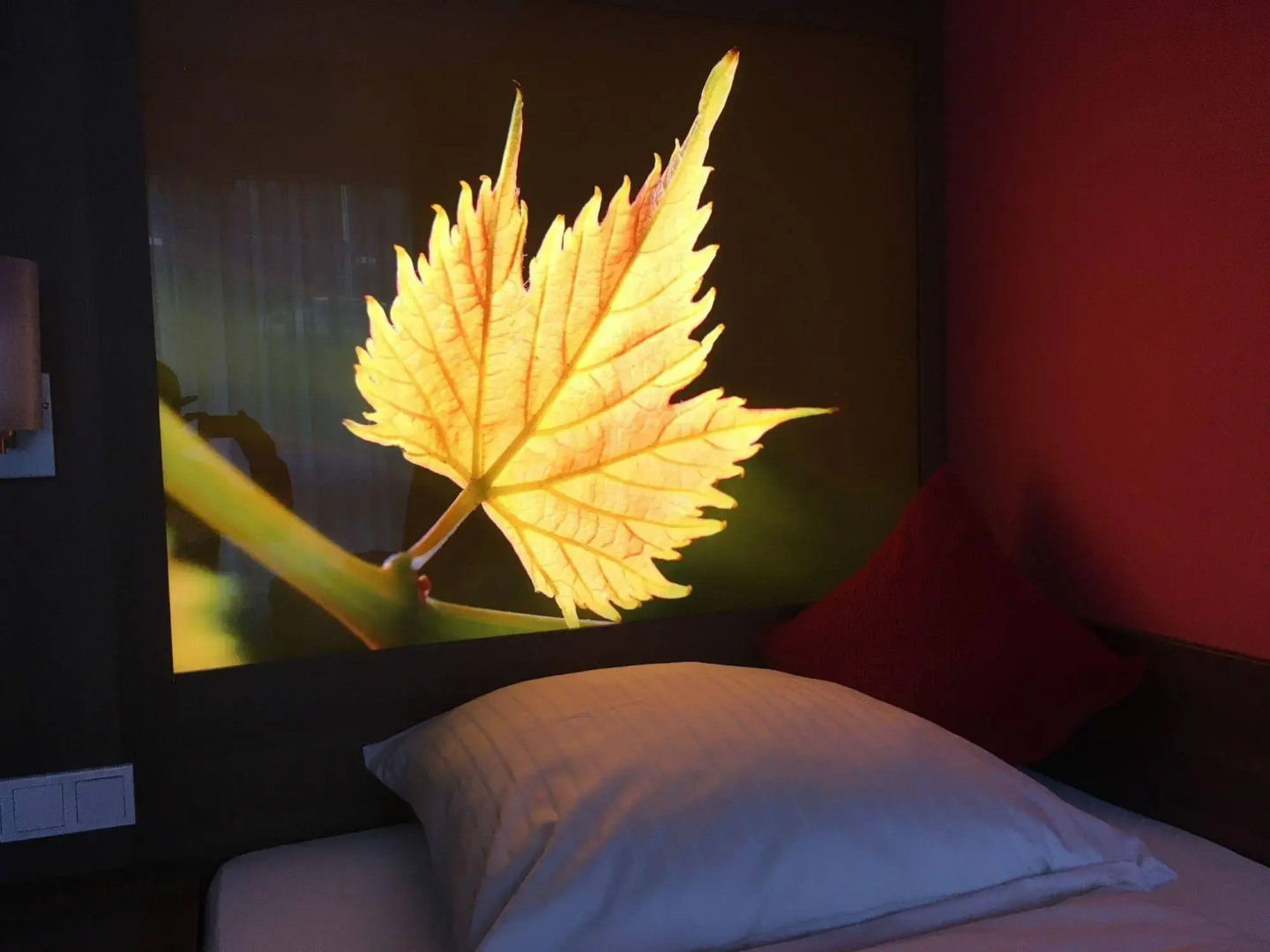 SCHROEDERS Wein-Style-Hotel