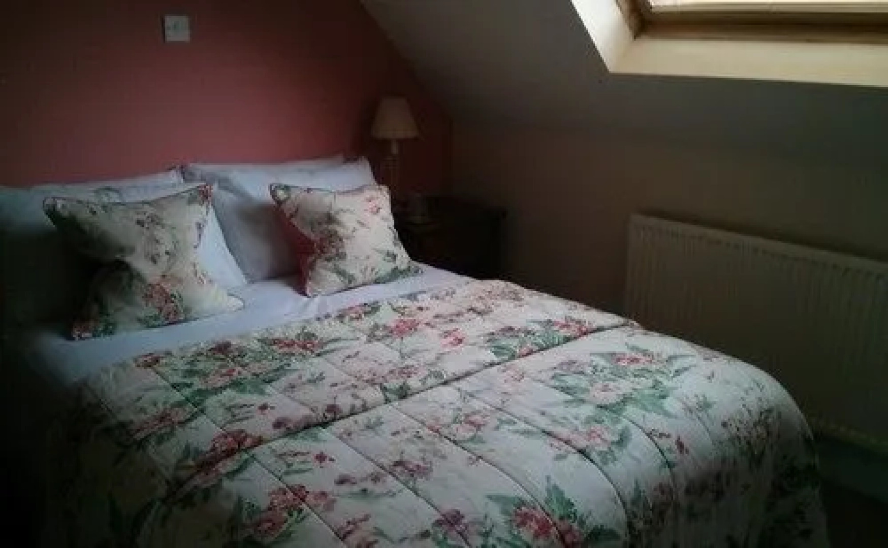 The Geese and Fountain