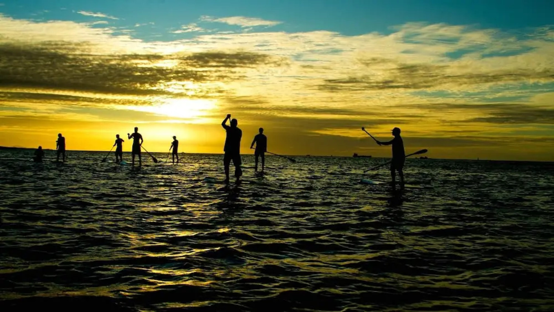 House Ostoya Wrzosowo by Renters