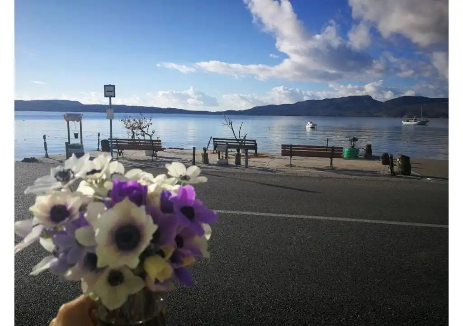 Kikilia's & Stelio's Apartments