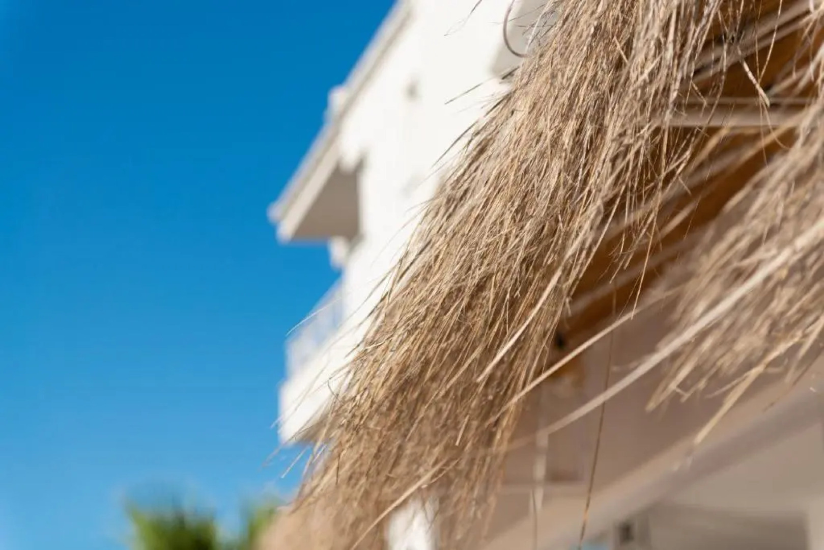 Apartamentos Bauló Mar