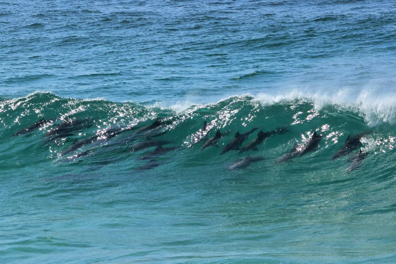 Arabella Motor Inn (formerly South Tweed Motor Inn)