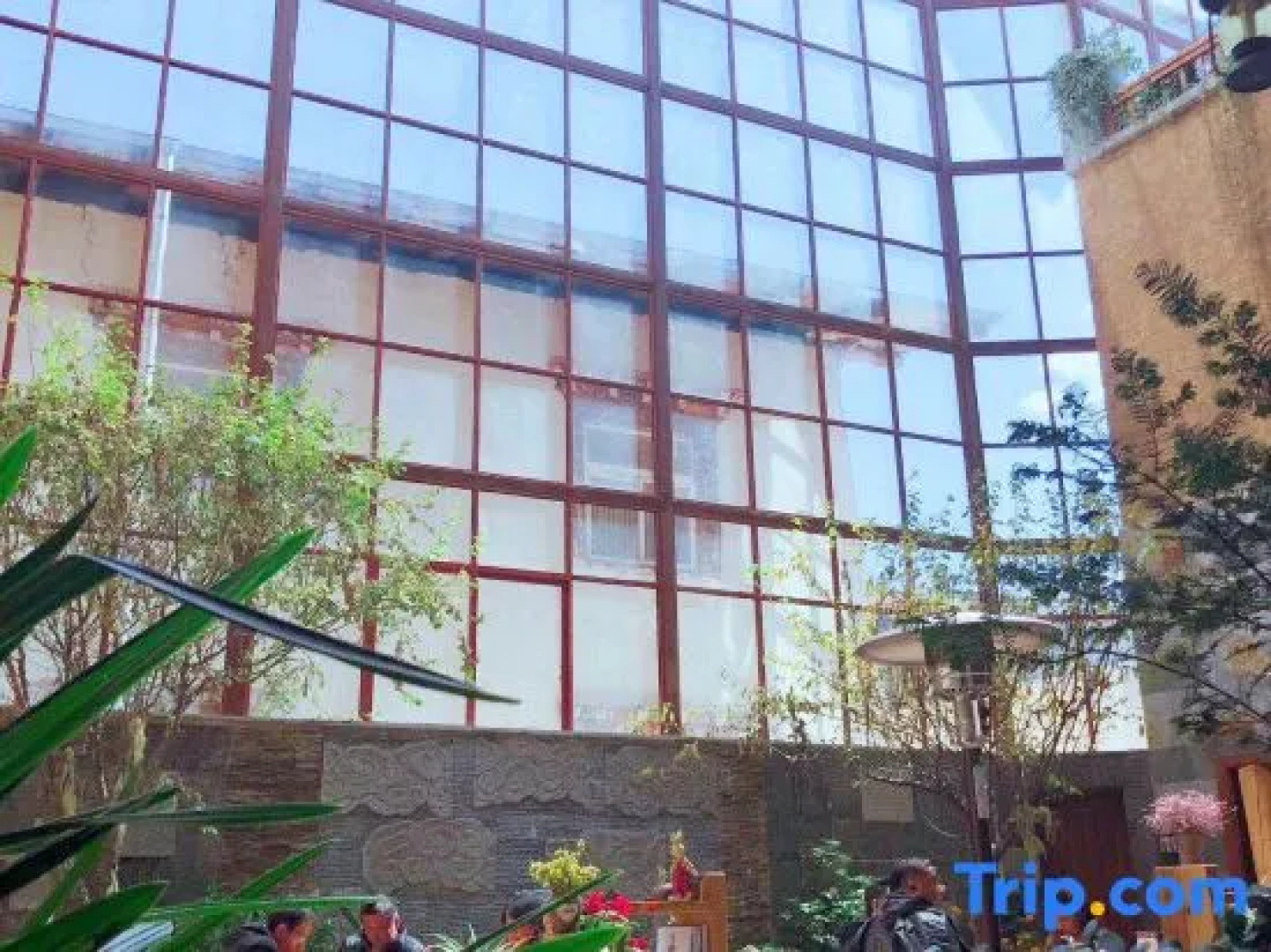 Tseten Wangmo Resort