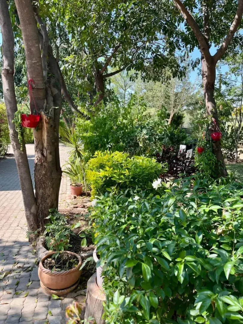 Beulah Court Vineyard Guest House