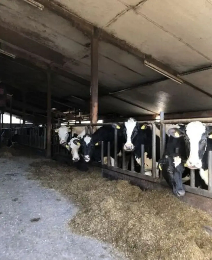 Hinrichsen Farm Holiday Apartment