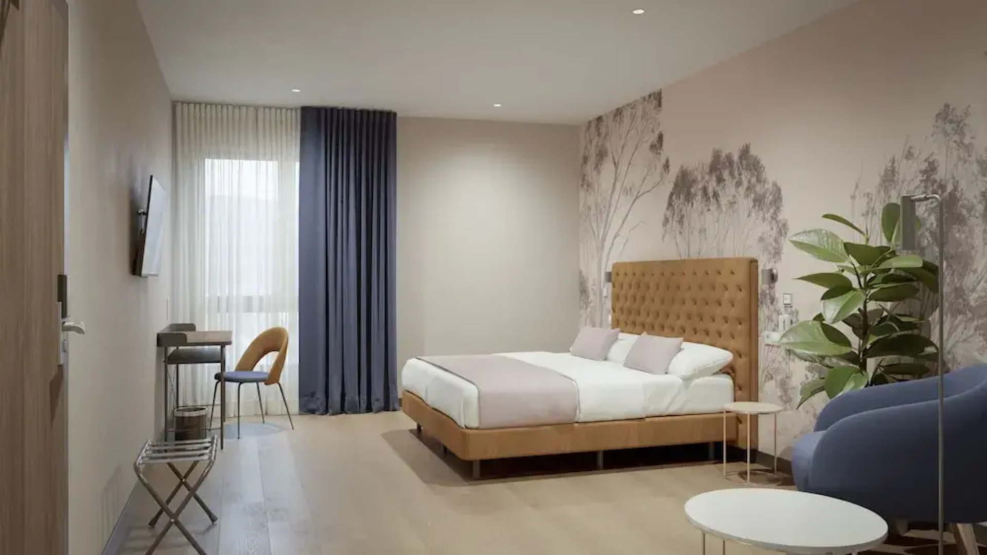 Hotel Asa Molina Plaza