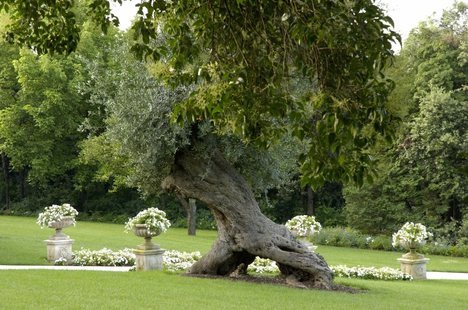 Byblos Art Hotel Villa Amista