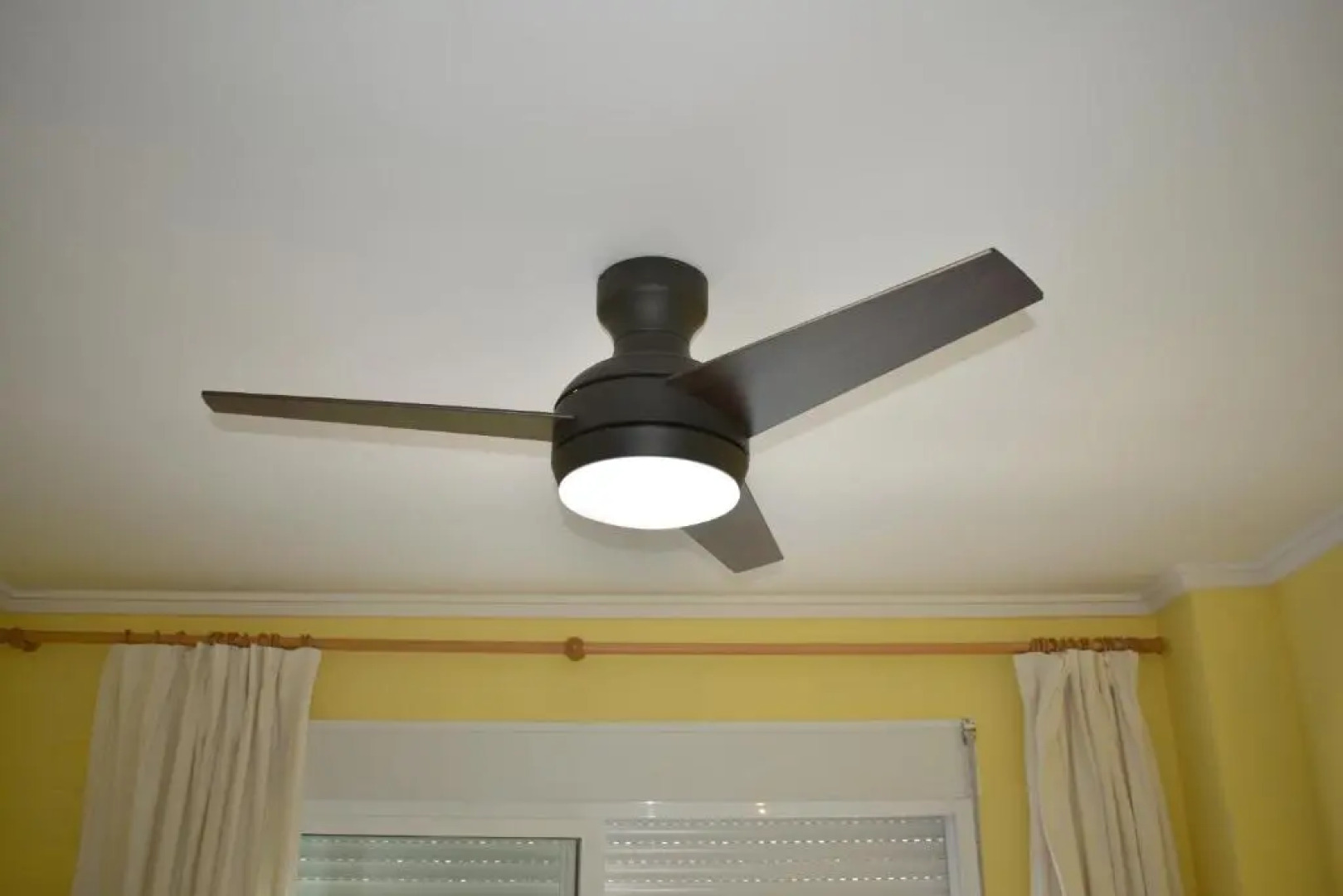 Romántico Daimús 2